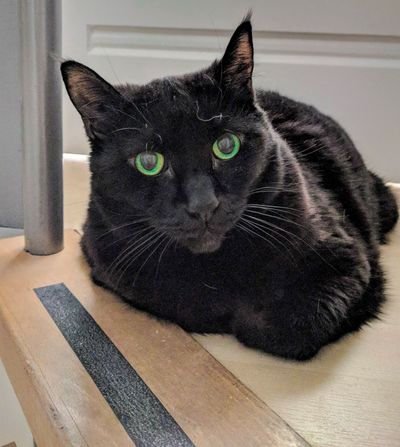 Zoe