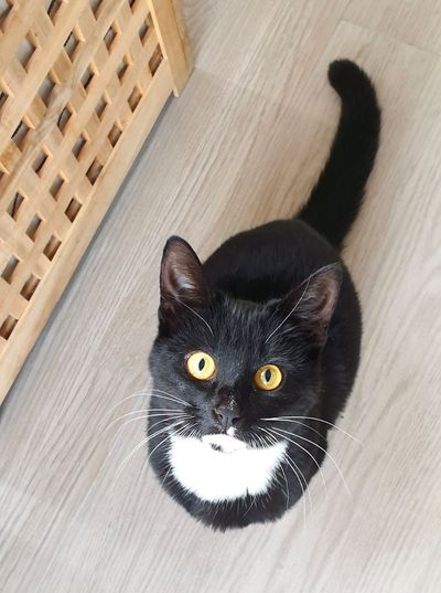 Benita