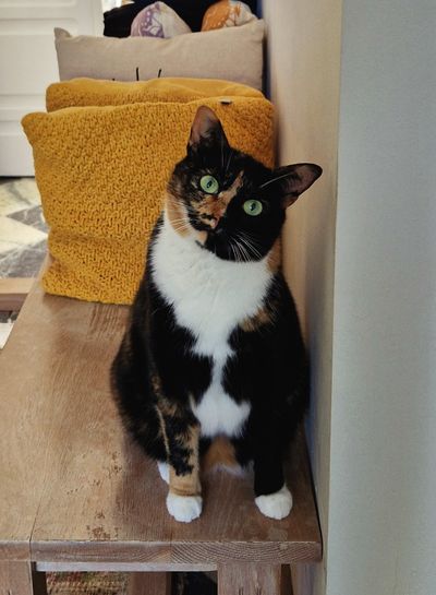 Maggie